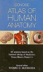 Concise Atlas of Human Anatomy [RARE BOOKS]