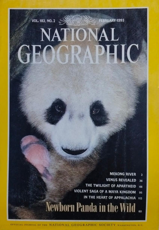 Newborn panda in the wild [national geographic][rare books][february 1993]