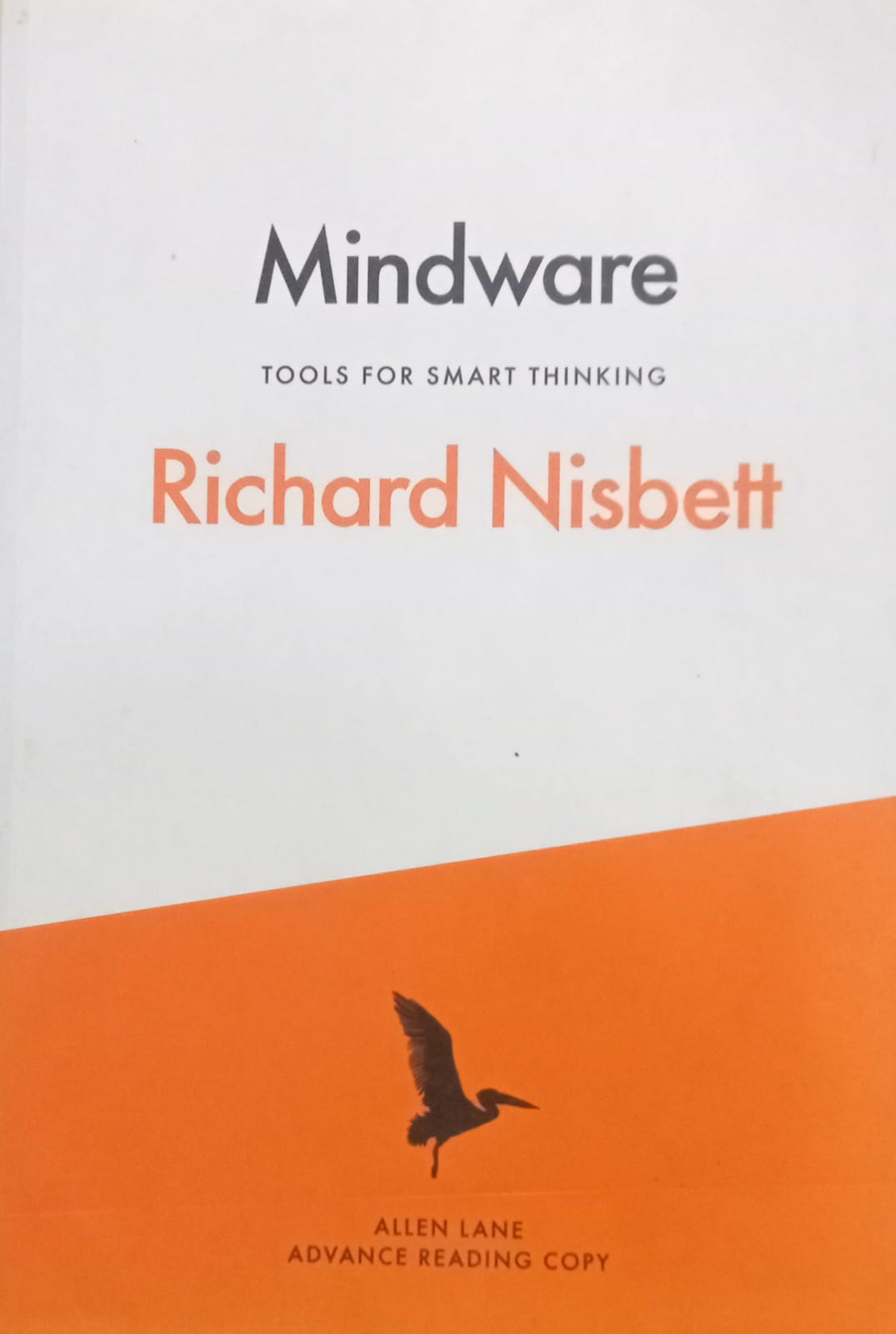 Mindware: Tools for Smart Thinking  [RARE BOOKS]