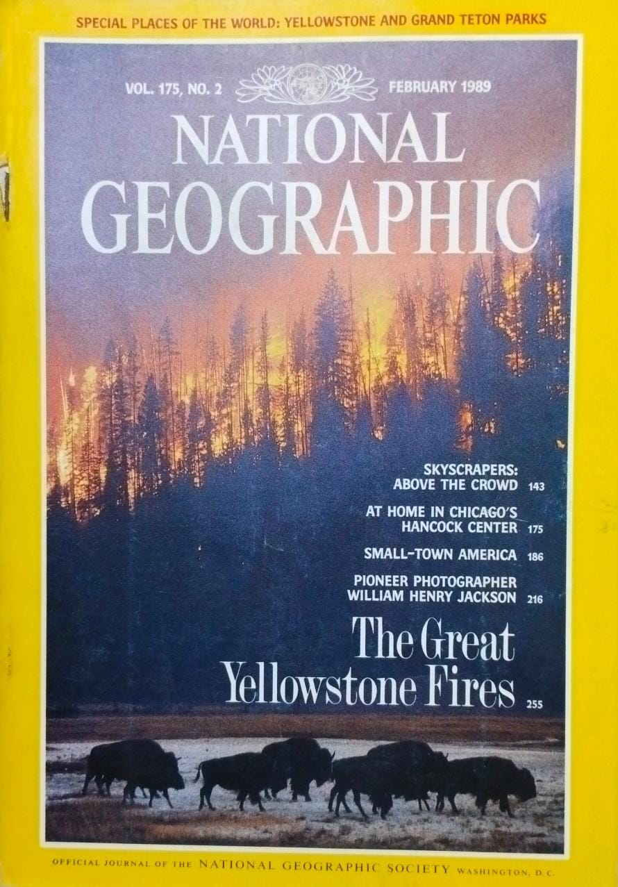 The great yellow stone fires [national geographic][rare books]