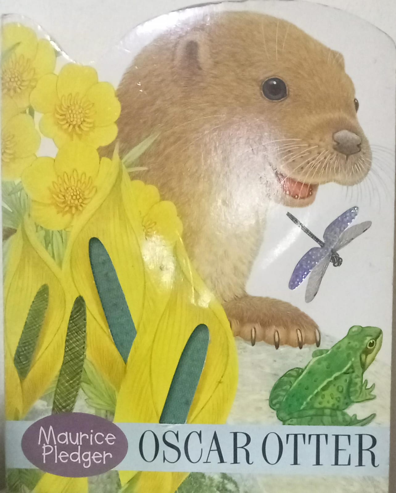 Oscar Otter [TOUCH THE FEEL] [BOARD BOOK]