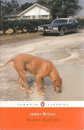 Modern Baptists by James Wilcox [rare books]