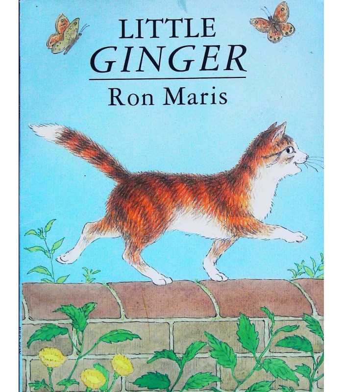 LITTLE GINGER