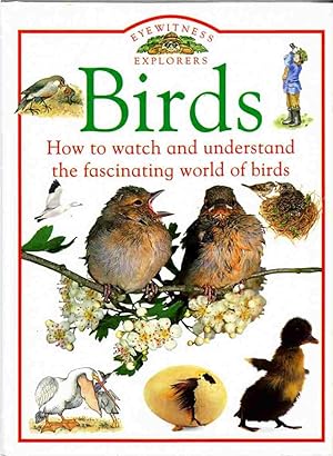 Bird [hardcover]