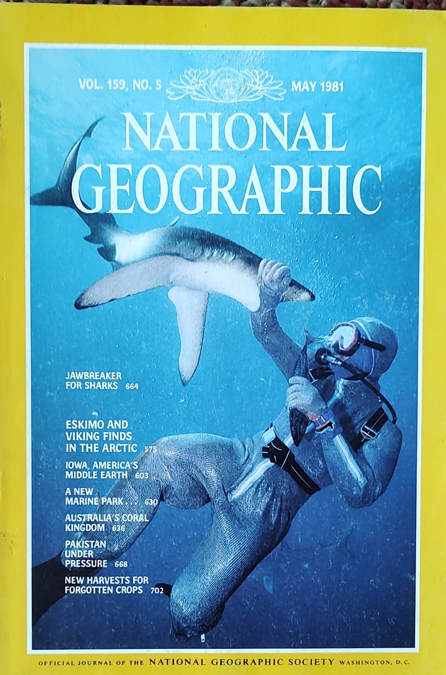 Jawbreaker For Sharks[National geographic][rare books][May 1981]