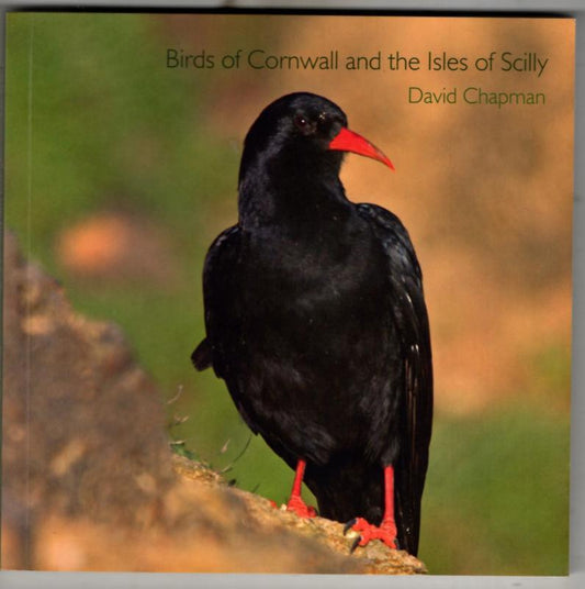 Birds of Cornwall and the Isles of Scilly (Pocket Cornwall) by David Chapman [Rare book]