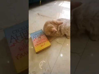 Where rainbows end [bookskilowise] 0.305g x rs 400/-kg