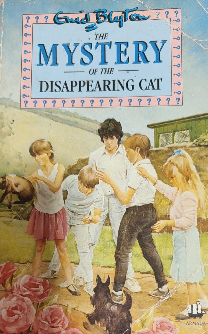 The Mystery of the Disappearing Cat