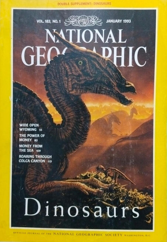 Dinosaurs [national geographic][rare books]