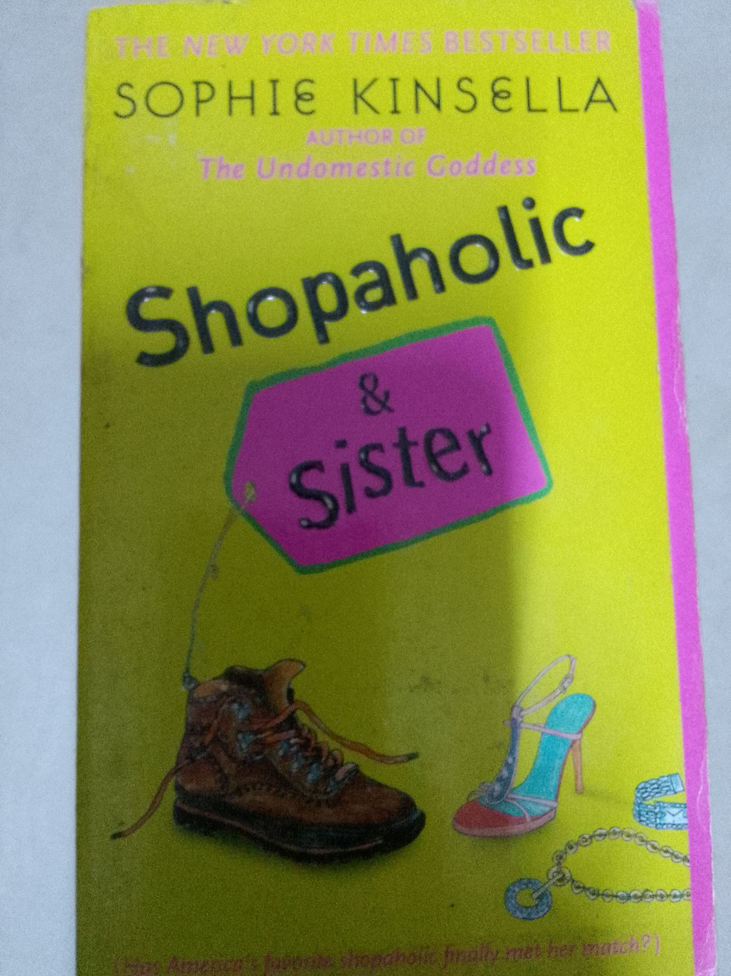 Shopaholic and Sister