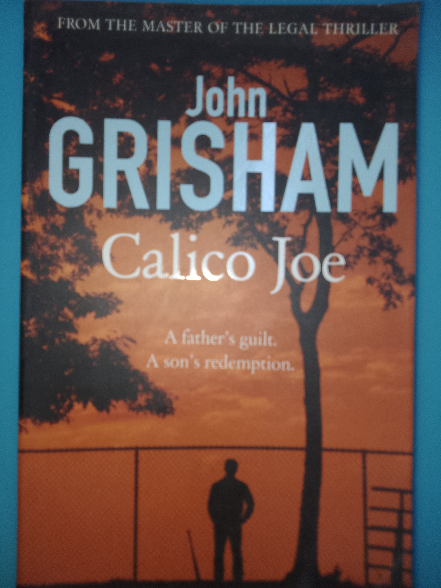 Calico Joe