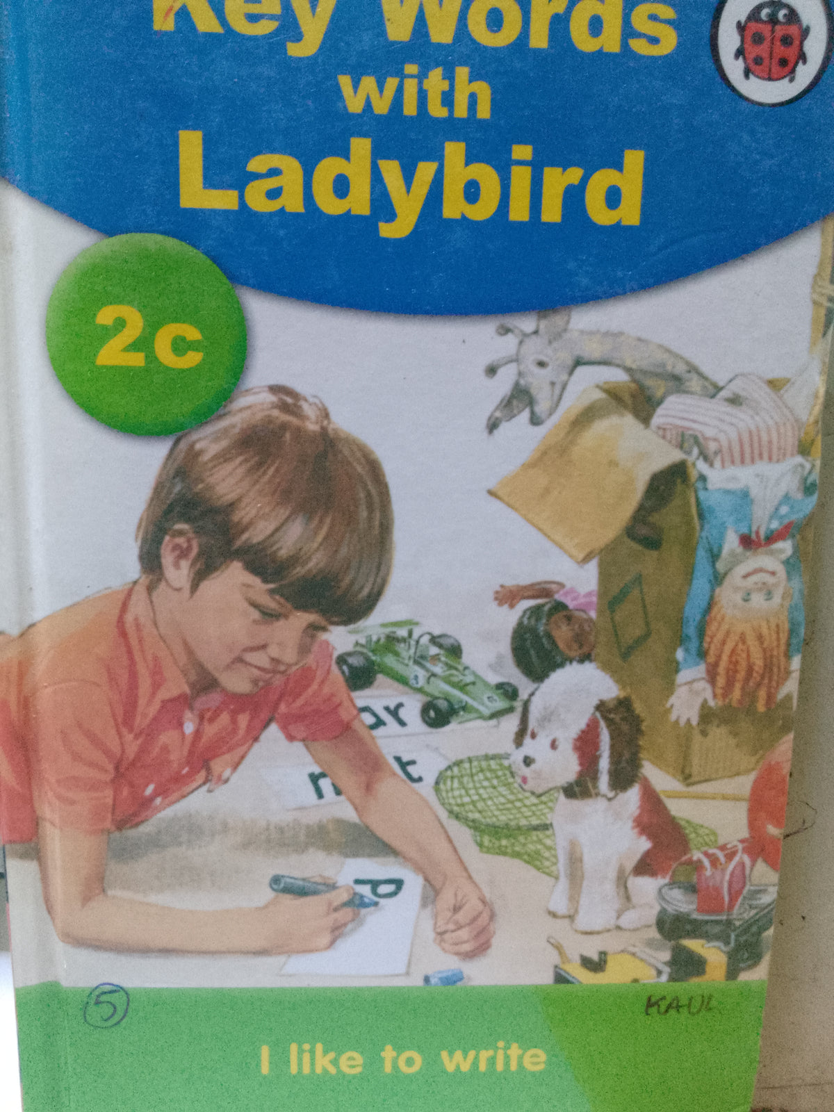 Key words 2c: i like to write [hardcover]