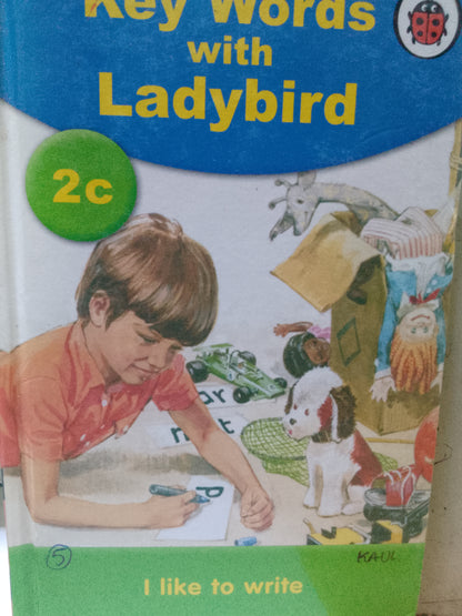 Key words 2c: i like to write [hardcover]