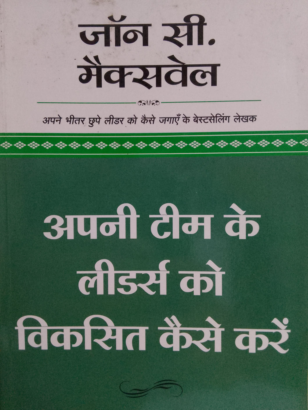 Apni team ke leaders ko viksit kaise karen [hindi edition]