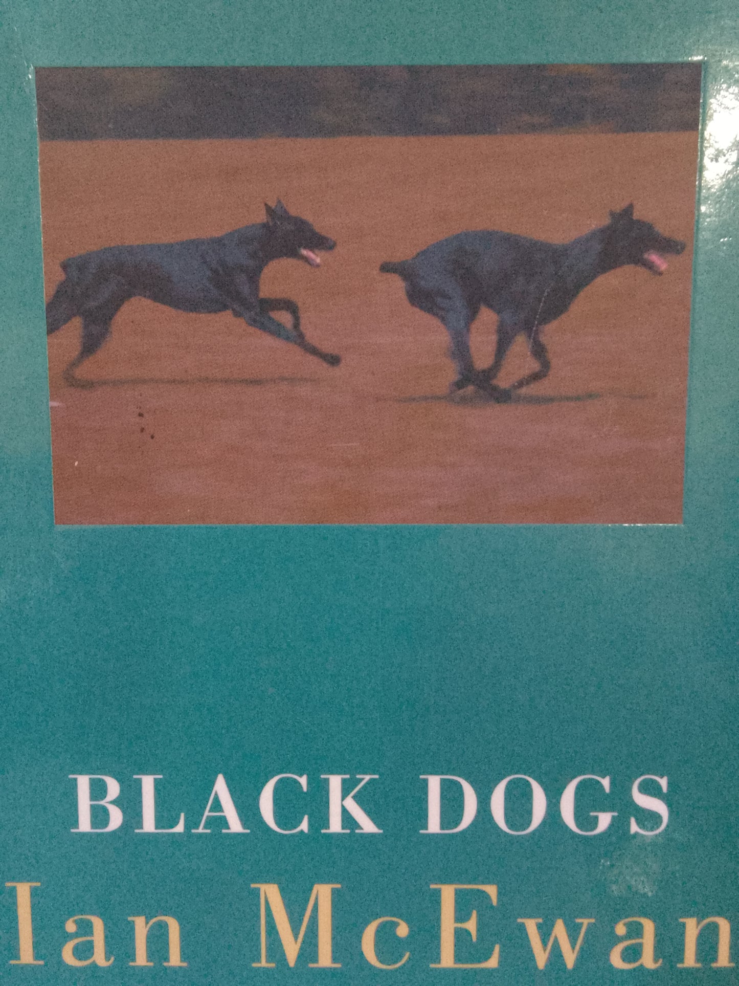 Black Dogs