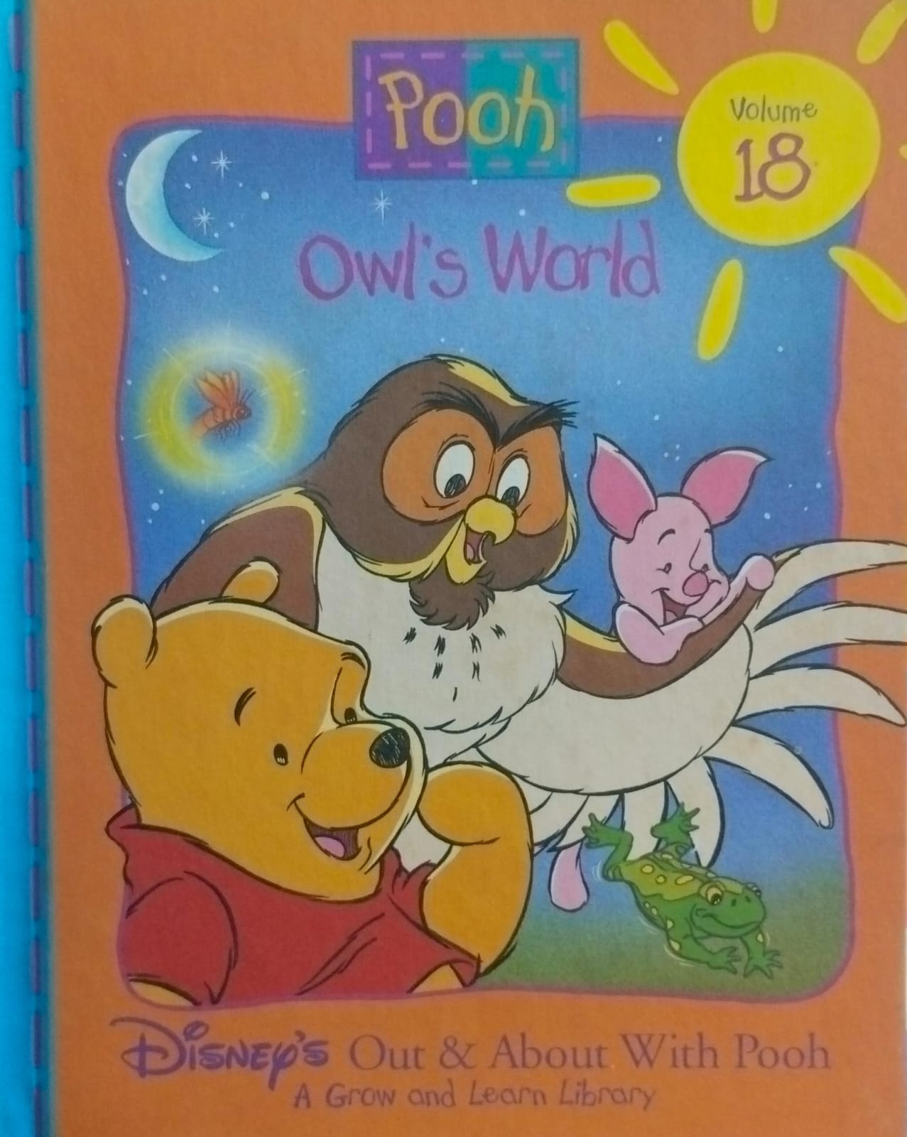 Owl's world [disney's out and about with pooh volume 18][hardcover]