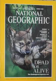 Dead Or Alive [national geographic][rare books][March 1995]