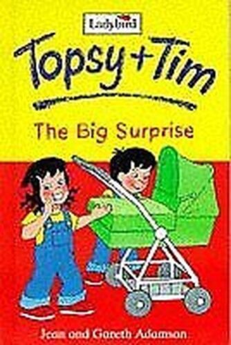 The Big Surprise [hardcover]