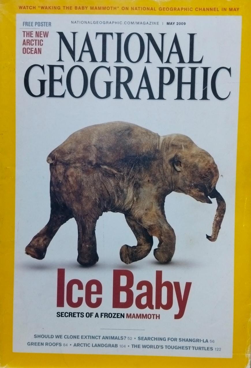 Ice baby [national geographic][rare books][may 2009]