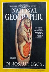 Dinosaur eggs [national geographic][rare books]