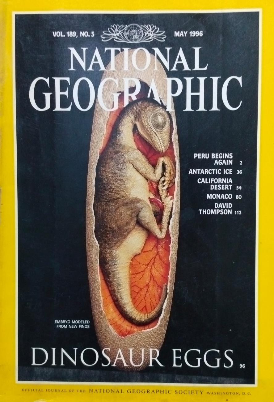 Dinosaur eggs [national geographic][rare books]