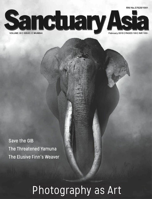 Photography as Art [Sanctuary Asia] [February 2019][rare books]
