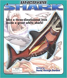 Uncover A Shark [HARDCOVER]