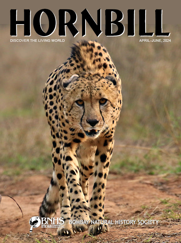 Hornbill [April-June 2024] [rare books]
