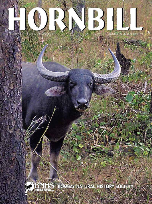 Hornbill [January-march 2024][rare books]