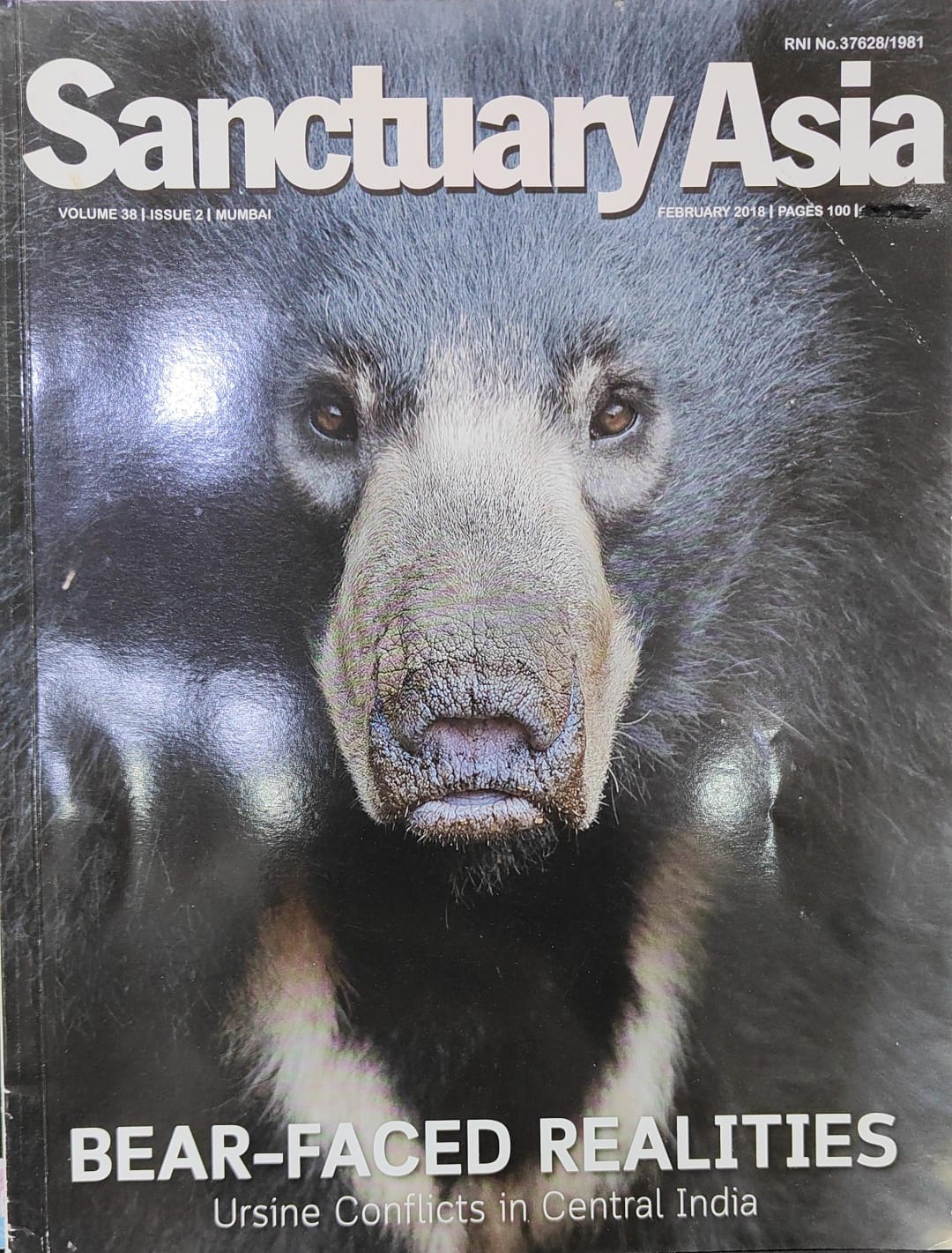 Bear-Faced Realities [Sanctuary Asia] [February 2018][rare books]