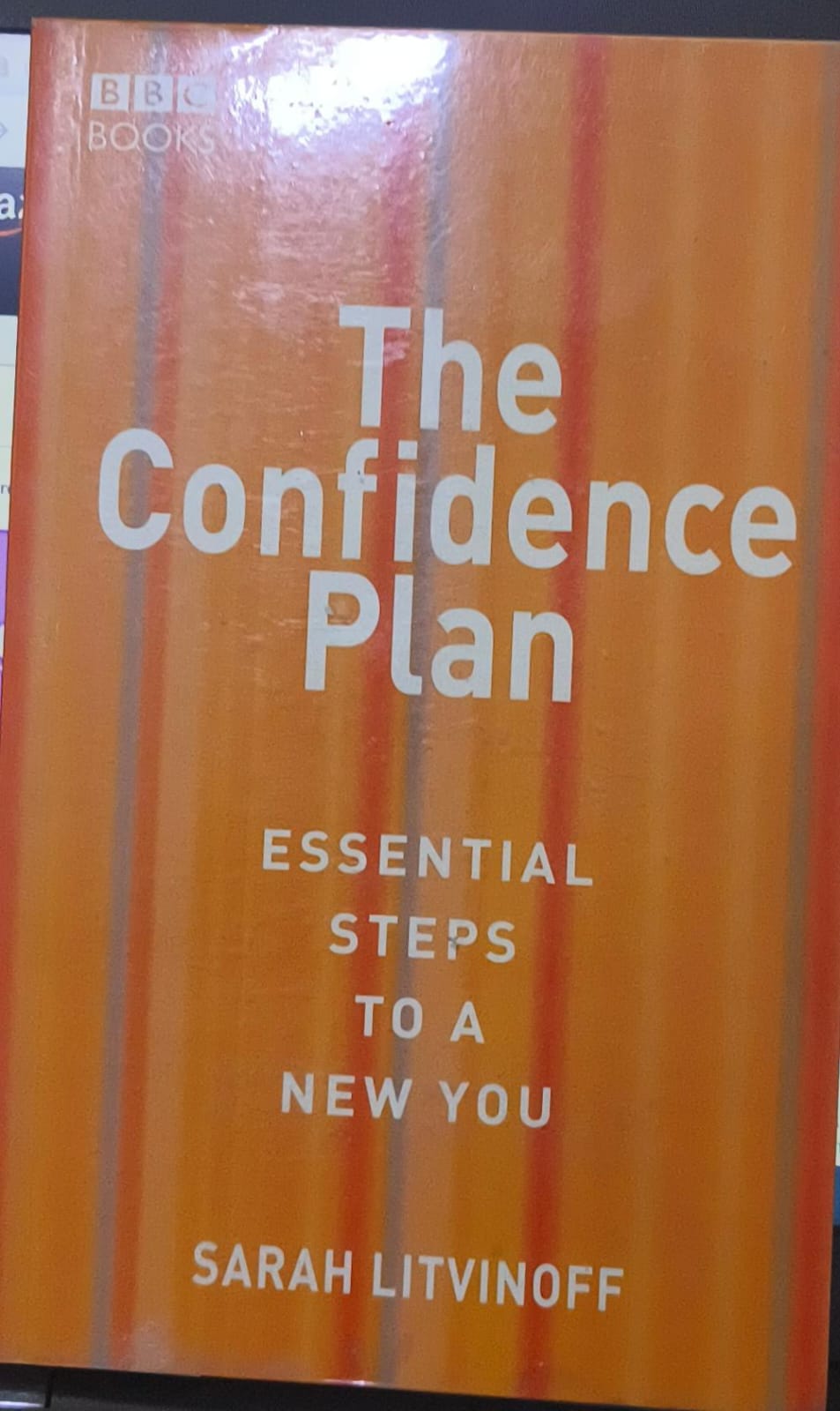 The Confidence Plan by Sarah Litvinoff [Rare books]