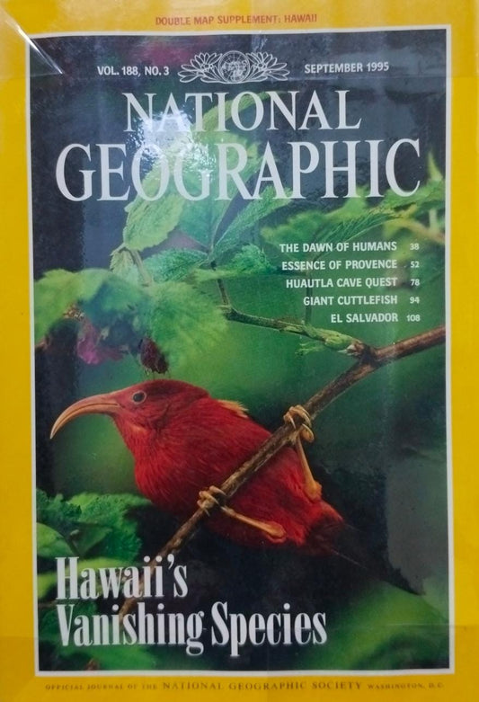 Hawaii's vanishing species [national geographic][rare books]