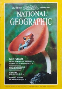 Rain forests [national geographic][rare books]