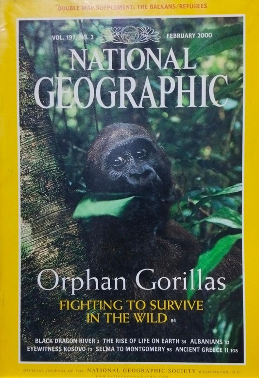 Orphan gorillas [national geographic][rare books]