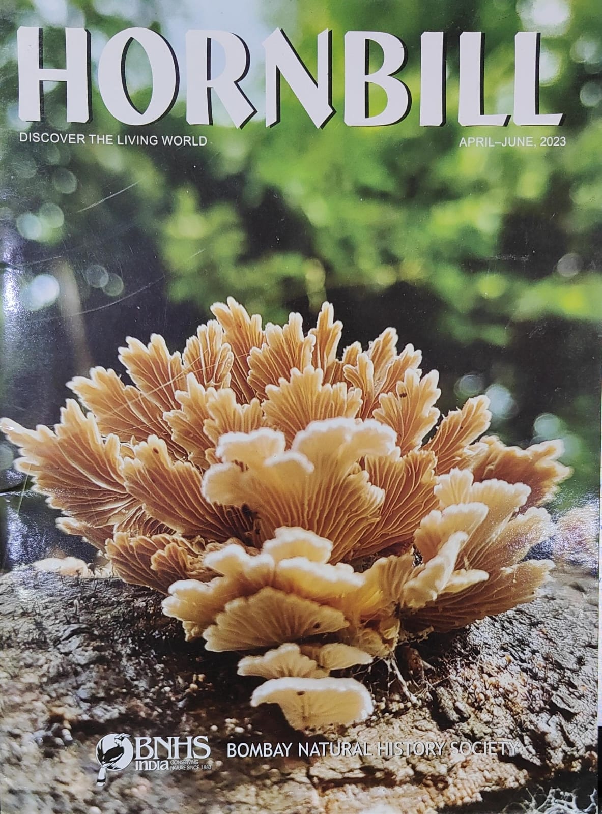 Hornbill [April-June 2023][rare books]