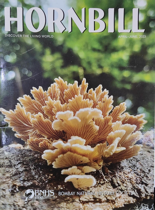Hornbill [April-June 2023][rare books]