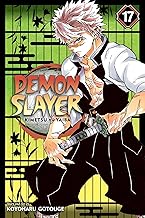 Demon Slayer: Kimetsu no Yaiba, Vol. 17 by Koyoharu Gotouge [graphic novel] [rare books]