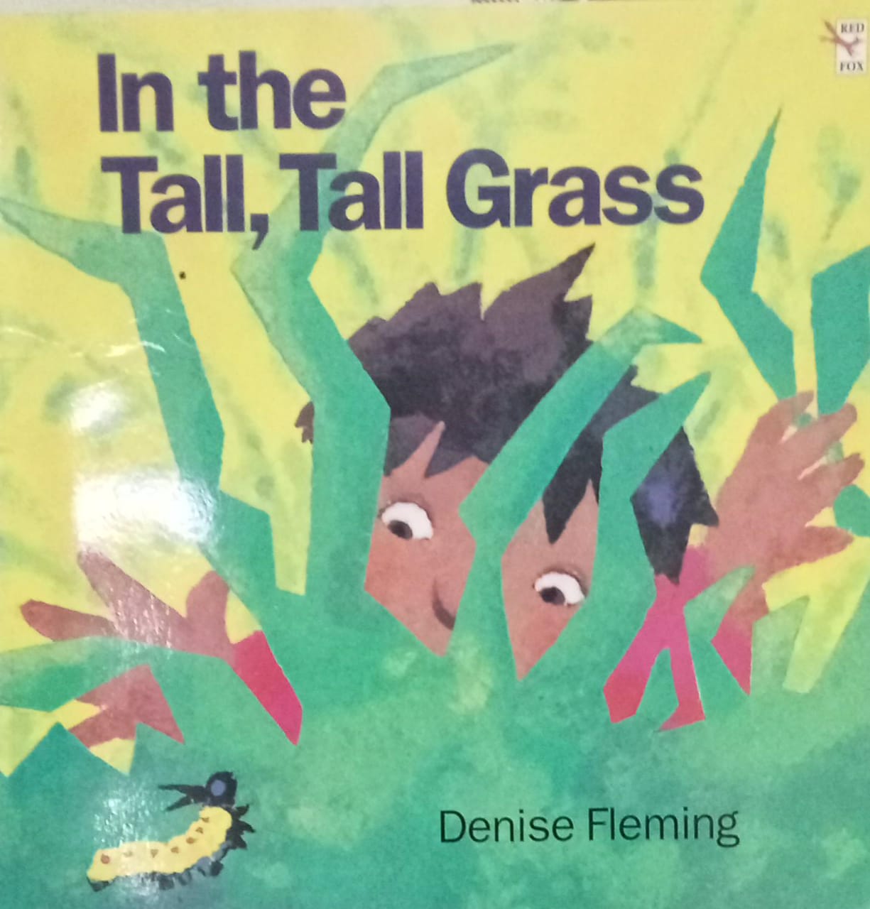 In the Tall, Tall Grass