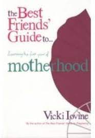 Best Friends' Guide to Surviving the First Year of Motherhood