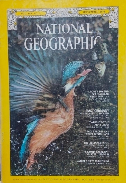Europe's shy and spectacular kingfisher [national geographic][rare books][september 1974]