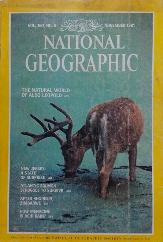 The natural world of aldo leopold [national geographic][rare books][november 1981]