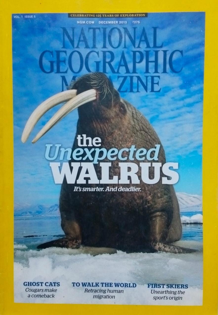 The unexpected walrus [national geographic][rare books]