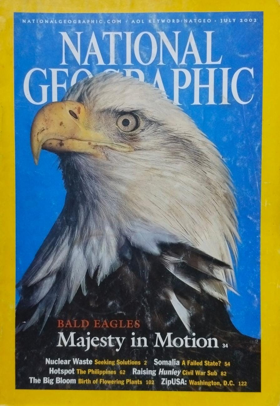 Bald eagles majesty in motion [national geographic][rare books]