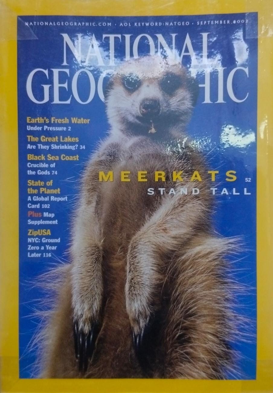 Meerkats stand tall [national geographic][rare books]