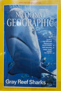 Gray reef sharks [national geographic][rare books][january 1995]