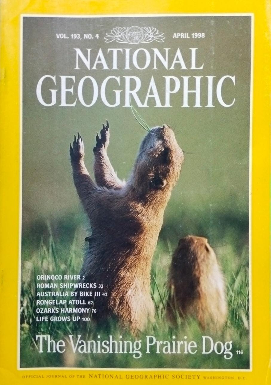 The vanishing prairie dog [national geographic][rare books]