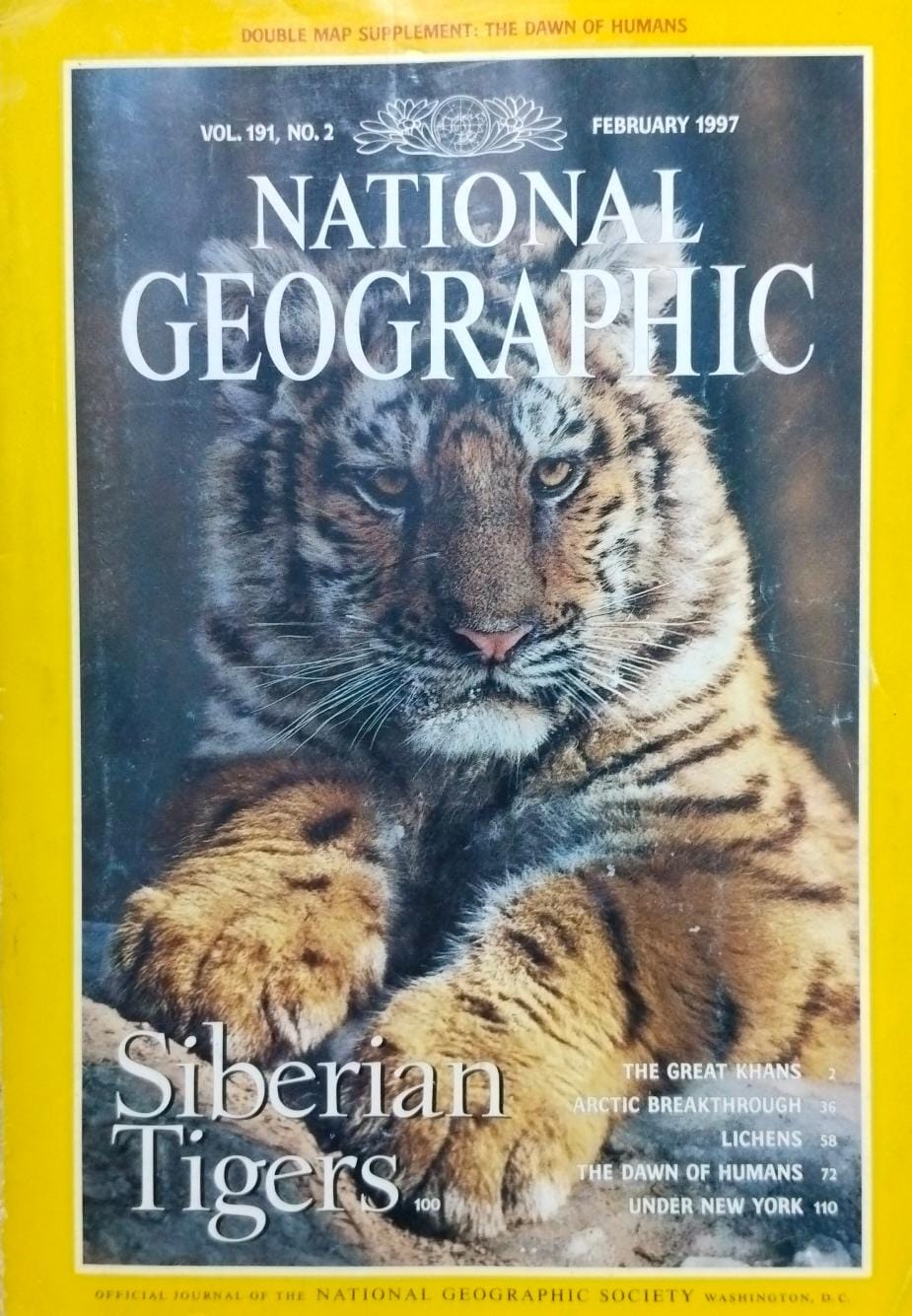 Siberian tigers [national geographic][rare books][february 1997]