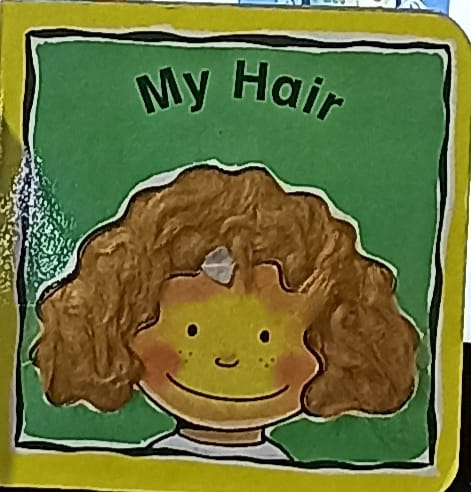 MY HAIR (Palm size boardbook)