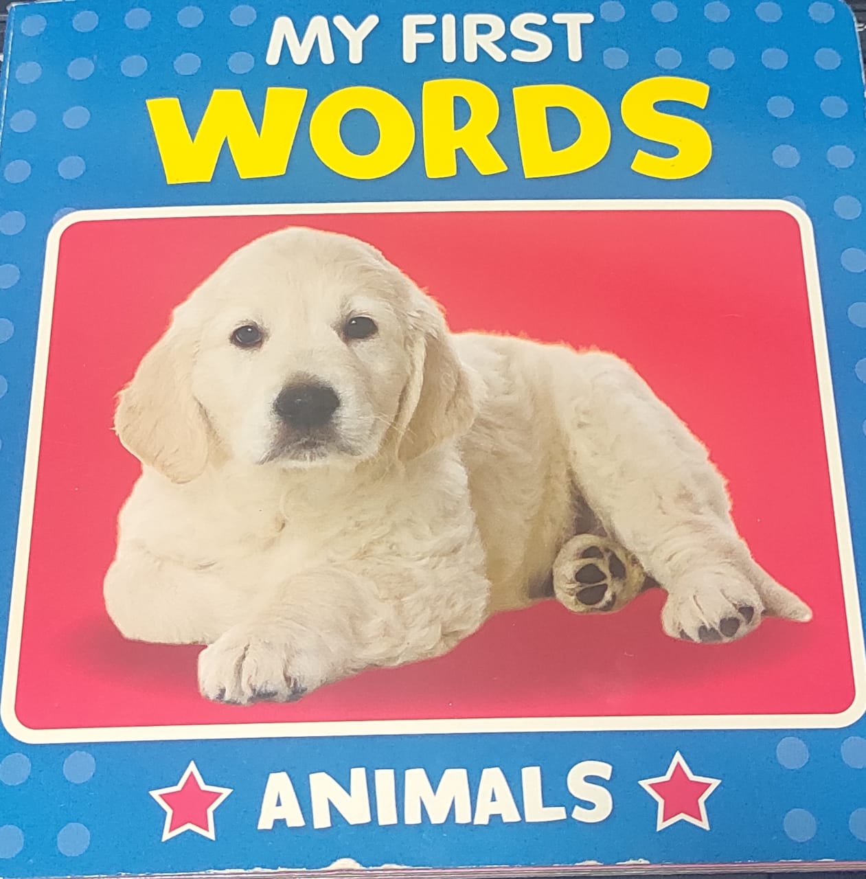 My First Words (BOARD BOOK)