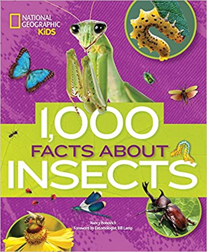 1000 Facts About Insects [Hardcover]